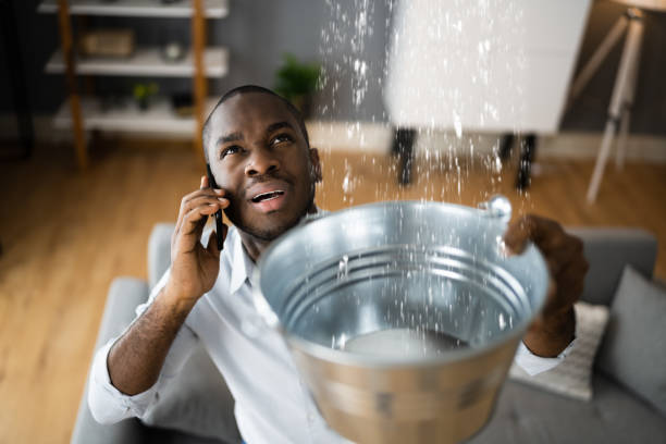 Best Local water damage restoration  in Victory Lakes, NJ