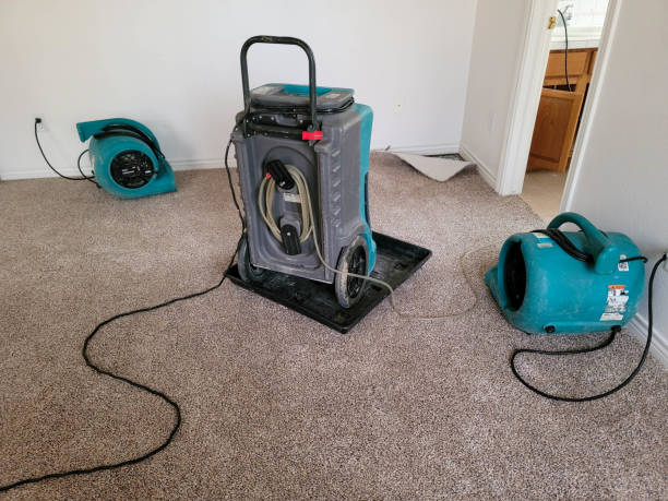 Best Sewage cleanup and water damage restoration  in Victory Lakes, NJ