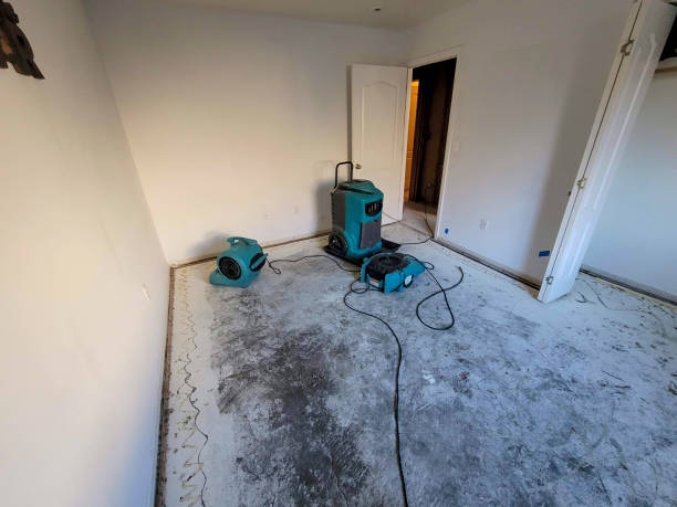 Best Fire Damage Restoration  in Victory Lakes, NJ
