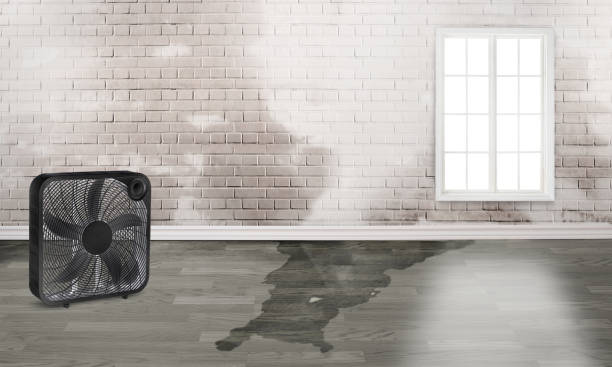 Professional Water damage restoration in NJ