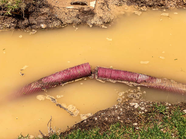 Best Sewage cleanup and water damage restoration  in Victory Lakes, NJ