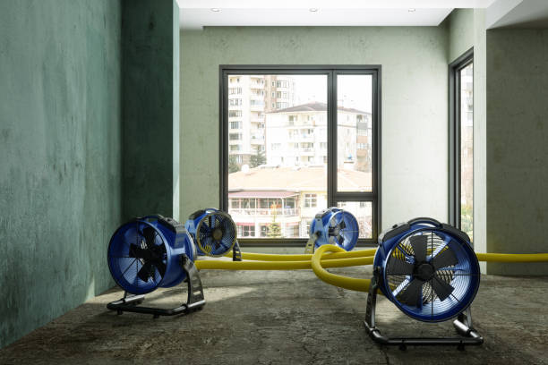Best Mold removal after water damage  in Victory Lakes, NJ